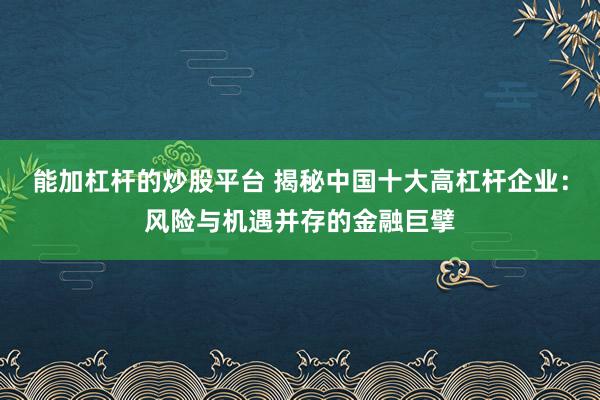 能加杠杆的炒股平台 揭秘中国十大高杠杆企业：风险与机遇并存的金融巨擘