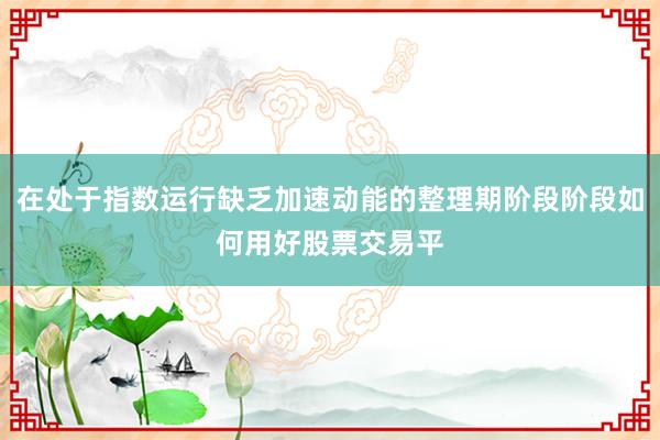在处于指数运行缺乏加速动能的整理期阶段阶段如何用好股票交易平