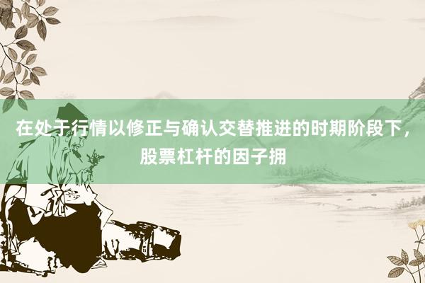 在处于行情以修正与确认交替推进的时期阶段下，股票杠杆的因子拥