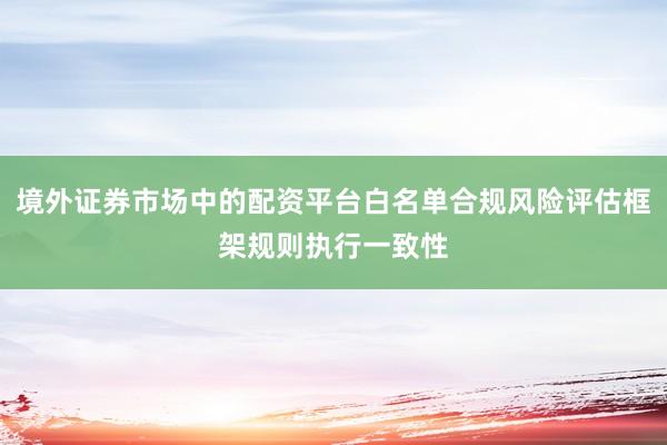 境外证券市场中的配资平台白名单合规风险评估框架规则执行一致性