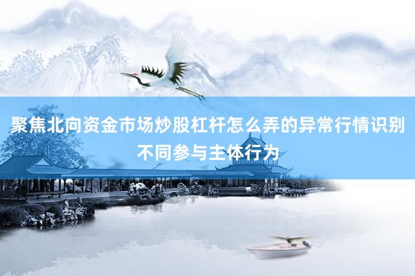 聚焦北向资金市场炒股杠杆怎么弄的异常行情识别不同参与主体行为
