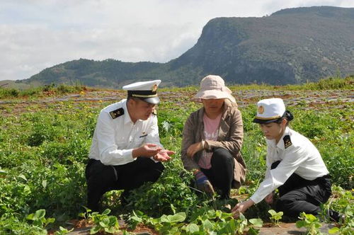 以职能为媒,搭建助农增收 绿色通道 丽江海关聚焦中药材种植产业发展助力乡村振兴