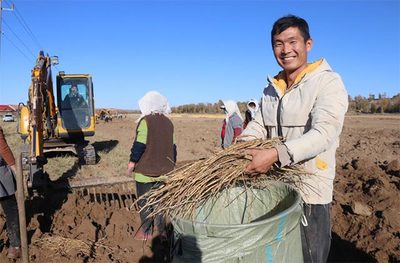 内蒙古敖汉旗:种植中药材 开出“致富方”